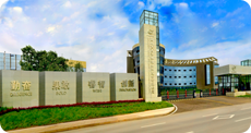 China Atlantic Group